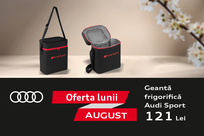 Geanta%20frigorifica%20AUDI